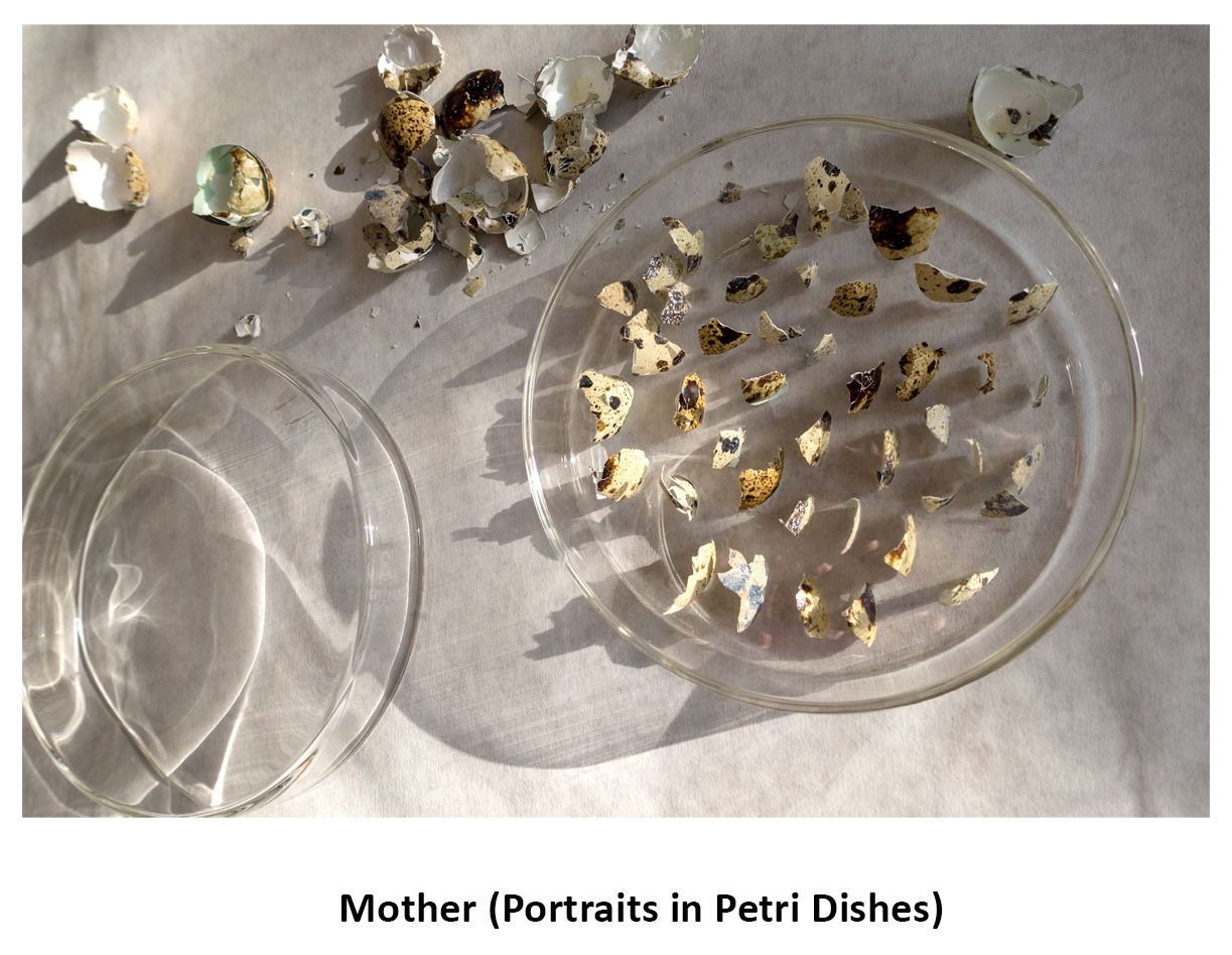 Eggshells_petri_invite_imagepdf